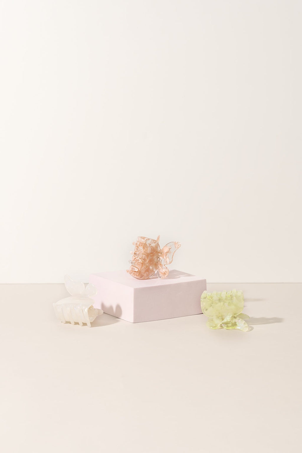 La collection de papillons