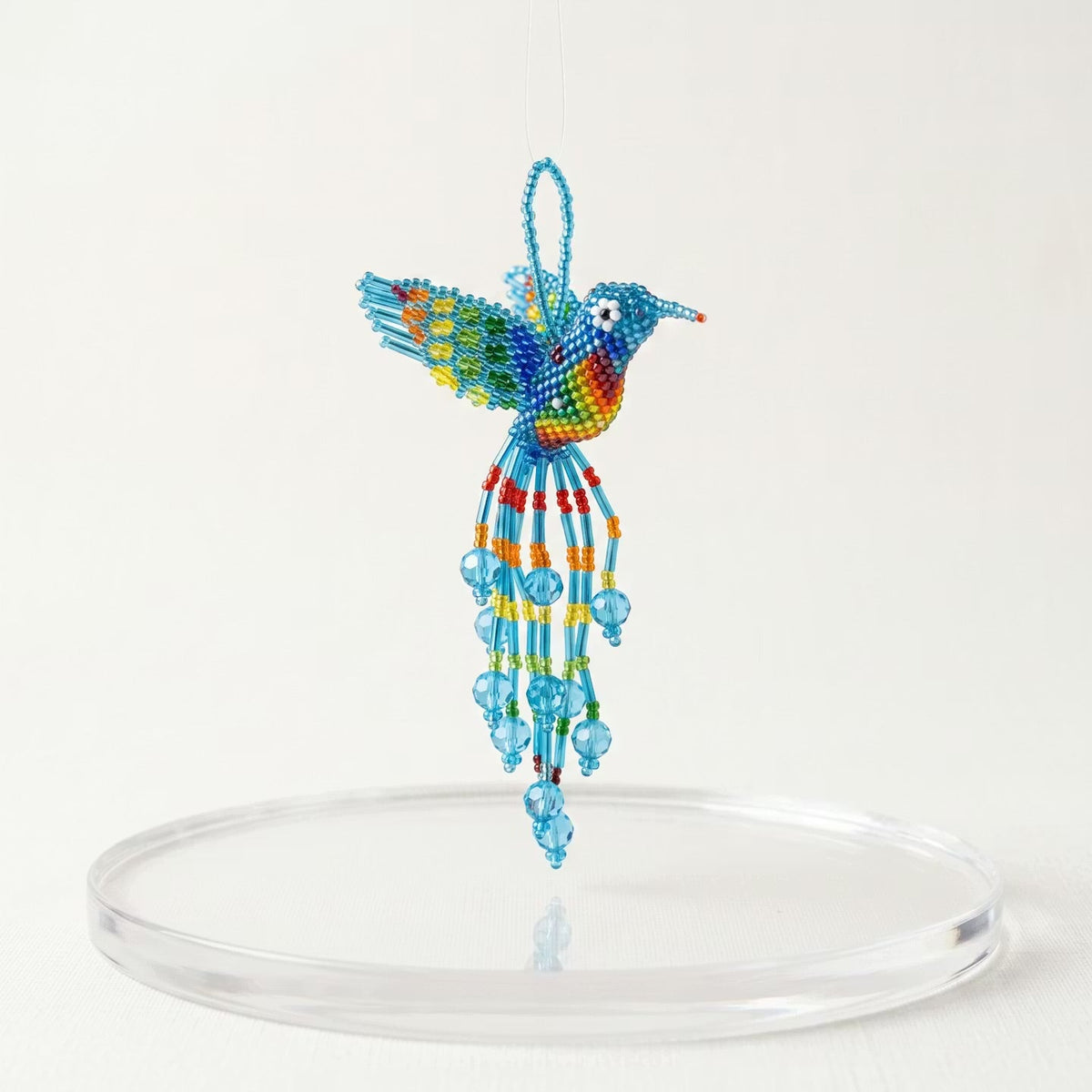 Colibri saphir