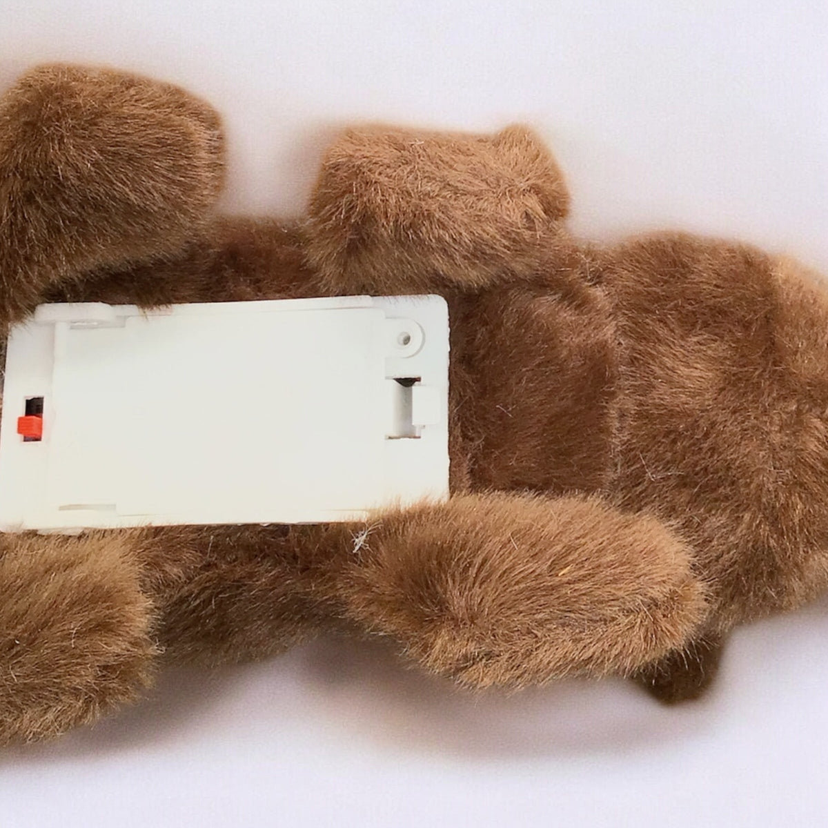 Peluche interactive Électrique Ours
