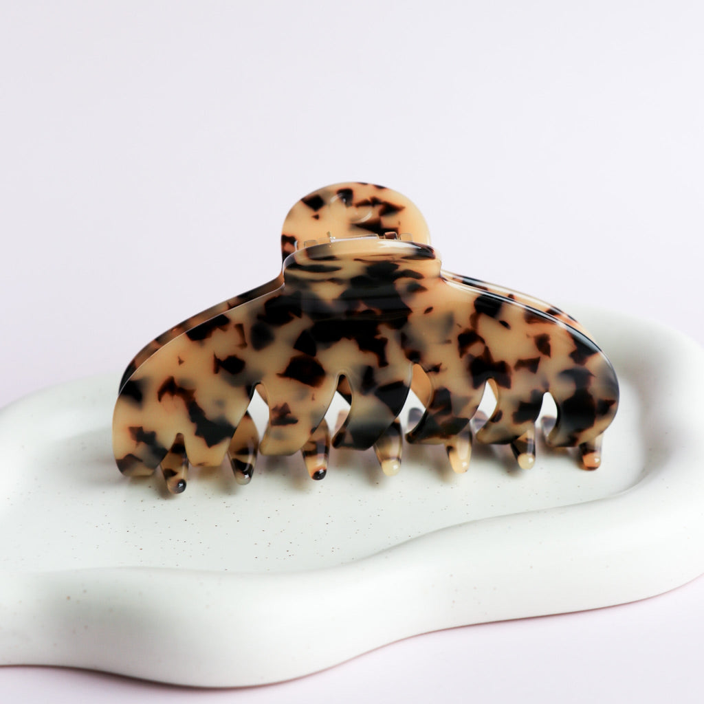La Agatha - Tortue