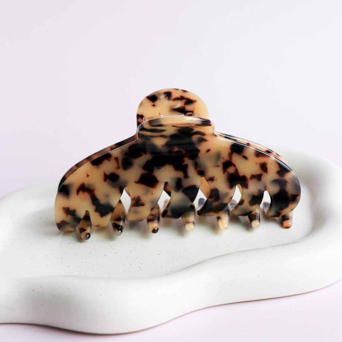 La Agatha - Tortue